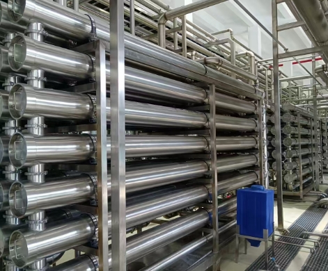 菊苣中的菊粉提取